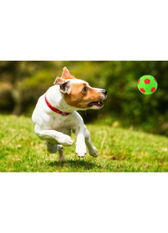 Игрушка для собак Z757 Мяч футбольный Ø7,2см Happet (353687754)