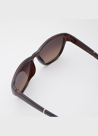 Сонцезахисні окуляри VAN REGEL CR001 Brown No Brand (289871367)