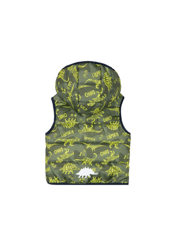 Теплий жилет на флісовій підкладці для хлопчика BIONIC-FINISH® ECO 382082 хакі Lupilu (322560974)