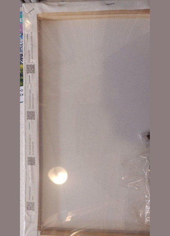 Картина по номерам Нежный хлопок Картины раскраски по номерам цветы 40х50 Роспись по номерам на холсте 30230 Origami (322073512)