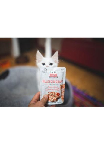 Влажный корм Cat Pouch для кошек, филе в соусе, нежная индейка и пикантный лосось, 85 г Brit Care (322874352)