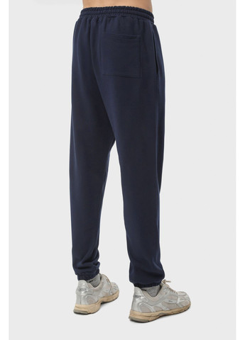 Штани чоловічі базові темно-сині RAY PREMIUM LOOSE (363045525)