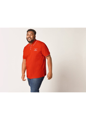 Футболка-поло з бавовняного піке для чоловіка LIDL 456026 помаранчевий Livergy (357014734)