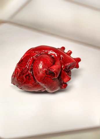 Скульптура анатомічне серце 11 см червоне | Гіпсовий арт-декор ручної роботи | No Brand (328600856)