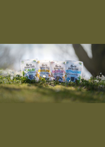 Ласощі для собак Dental Stick Teeth & Gums ромашка та шавлія 251 г (8595602564354) Brit Care (307359999)