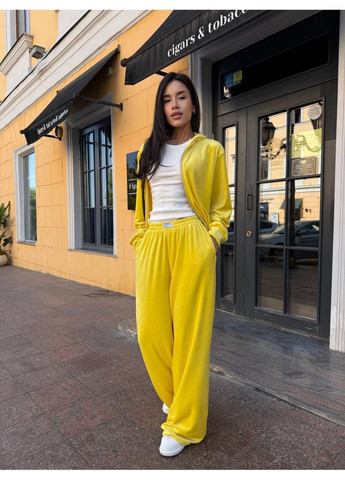 Жіночий спортивний костюм з велюру: кофта на блискавці та широкі штани з високою посадкою MonCher (353689641)