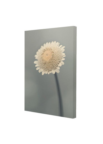 Набор постеров Цветочная мгла (PS-002) 3 шт. Riviera Blanca (303135454)