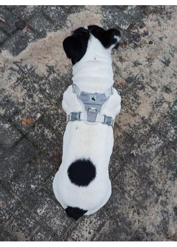 Шлея для собак Bororo Комфорт и контроль во время каждой прогулки No Brand (362571930)