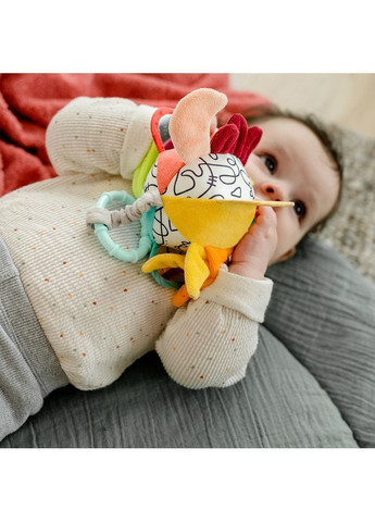 М'яка розвиваюча іграшка-підвіска DobabyDoo М'яч () Fehn 4001998049152 (366578340)