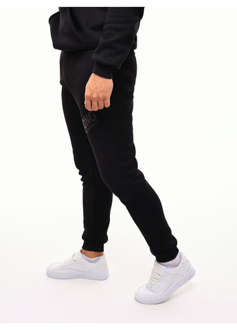 Штани спортивні чоловічі No Brand (365550581)