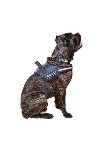 Шлея для собак (07133) Dog Extreme Police N5 з ліхтариком 85-115 см червона (366522382)