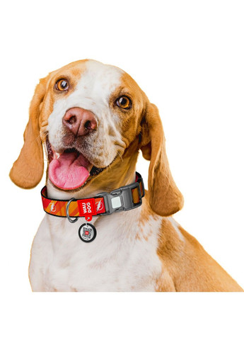 Нашийник для собак нейлоновий Nylon з QR паспортом, світловідбивний, S, Ш 15 мм, Дов 25-35 см WAUDOG (331162467)