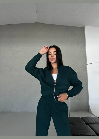 Женский качественный спортивный теплый костюм: кофта бомбер на молнии и брюки джогеры с утеплением No Brand (316094556)