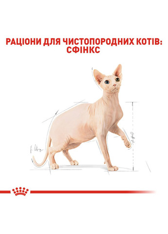 Сухий корм для дорослих кішок Sphynx Adult 10 кг (3182550758857) (2556100) Royal Canin (279569542)