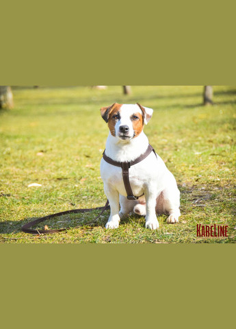 Повідець з нейлону зі світловідбивною ниткою 20 мм 1800 мм Kareline (339074892)