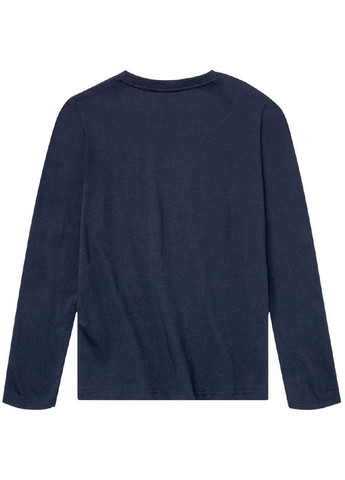 Сіро-синя всесезон бавовняна піжама (лонгслів, штани) лонгслів + брюки Pepperts