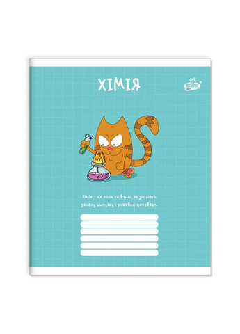 Набір зошитів ПРЕДМЕТКА 48 аркушів, 10 шт " " / Кумедний кіт Бріск (342417308)