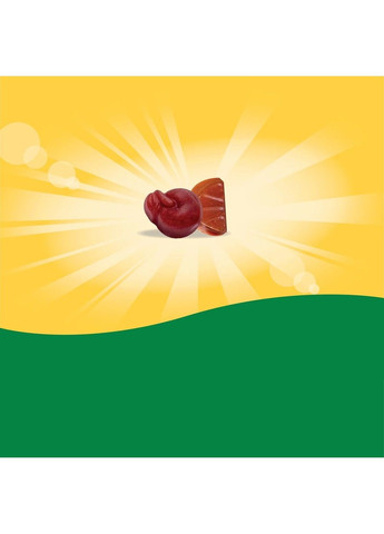 Alive! Kids, жевательные мультивитамины, 60 жевательных таблеток Nature's Way (347600304)