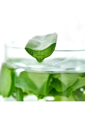 Ковдра Aloe Vera зимове євро 200х220 см з просоченням екстрактом Алоє антиалергенна біла IDEIA (367726554)