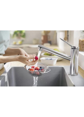 Смеситель для кухонной мойки Zesis M33 74802000 Hansgrohe (314931338)