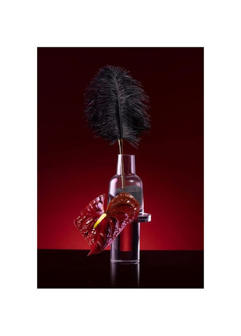 Набор для страстных вечеров "Лови момент" Carpe Diem Premium Bondage Set UPKO (297130403)