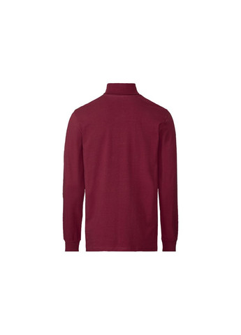 Гольф-водолазка приталенного кроя для мужчины LYCRA® 427834 Livergy (369123768)