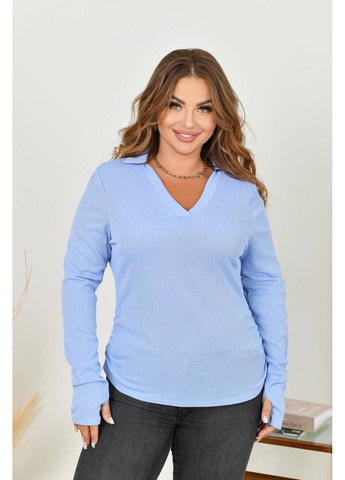 Жіночий лонгслів з комiрцем блакитного кольору 35231 No Brand (363621284)