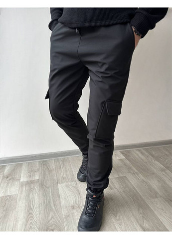 Штани утеплені Softshell плащівка на флісі No Brand (363829174)