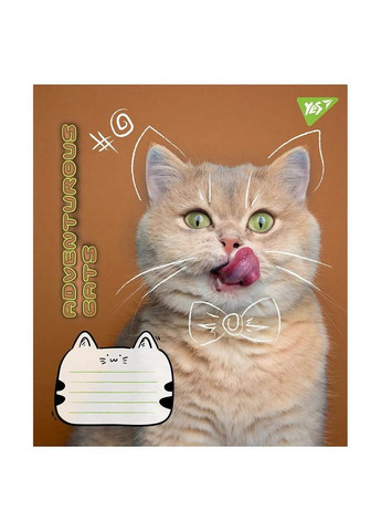 Зошит учнівський 766539 (4823092278173)(SC) shop (4823092278173) Yes (363061255)