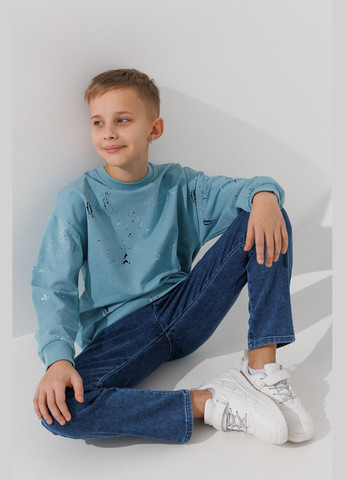 First Kids світшот з принтом для хлопчика 0068 146 см shop (2000990882226) комбінований повсякденний бавовна