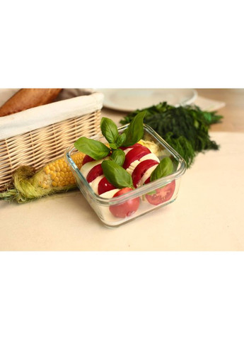 Контейнер miFamilia 750 мл Nested collection (6086) Mi Familia (316034633)