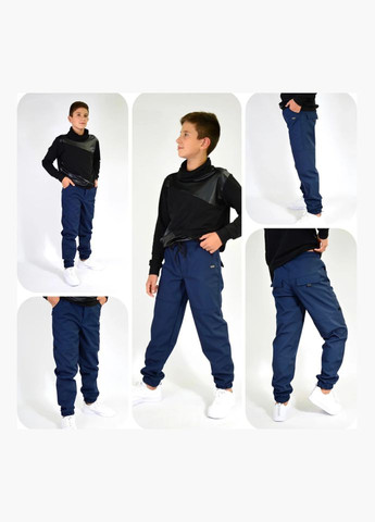 Штани джогери дитячі для хлопчика водонепроникні на флісі, софт-шелл Polin Line штани (299669963)