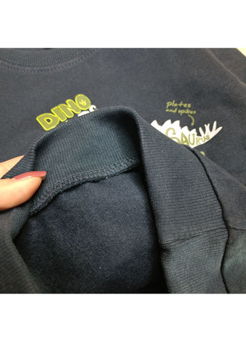 Кофта (світшот) для хлопчика, утеплена Lupilu (362304984)