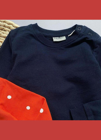 Кофта свитшот набор 2 шт 62-68 см (2-6 мес) темно-синяя, красная Lupilu (315631924)