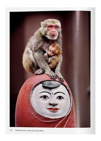 Книга Steve McCurry. Animals (9783836597036) Taschen (364656015)