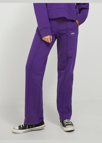Штани демісезон,фіолетовий,JJXX Jack & Jones (268563189)