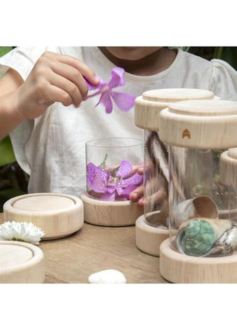 Набор Natural Play Сокровища в баночках, прозрачный, 8 шт. () Guidecraft G3086 (366578351)