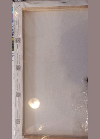 Картина по номерам Балерина Рисовать картины красками по номерам Люди Живопись на холсте 40х50 10604 Art Craft (308989282)