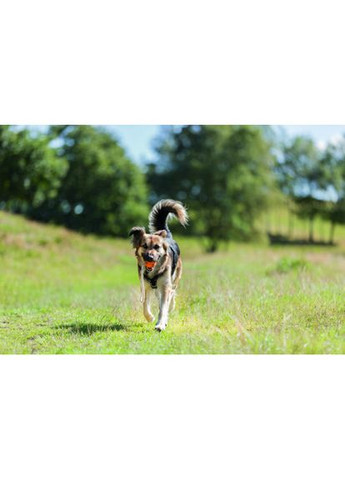 Шлея для собак Premium трекінгова чорний-графіт M–L 62–74 см х 25 мм (*) Trixie (322590182)