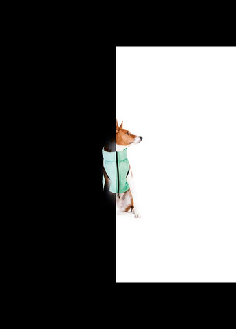 Курточка для собак Lumi двостороння, світиться в темряві, розмір L 65, салатово-голуба Airy Vest (342414559)