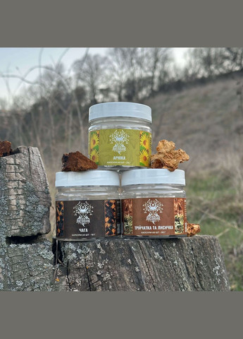 Курс Детокс: Перезавантаження тіла та розуму (1 місяць) Лісовик (334292851)