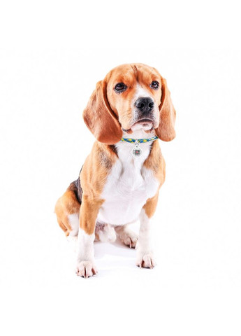 Шнурок для адресника из паракорда Smart ID, светоотражающий, "Colors of freedom", размер, диаметр 4 мм, длина 25-45 см WAUDOG (363200014)