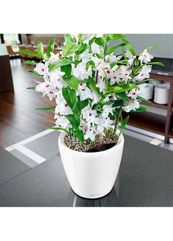 Кашпо Classico Premium LS 21 Білий (16020) Lechuza (323204712)