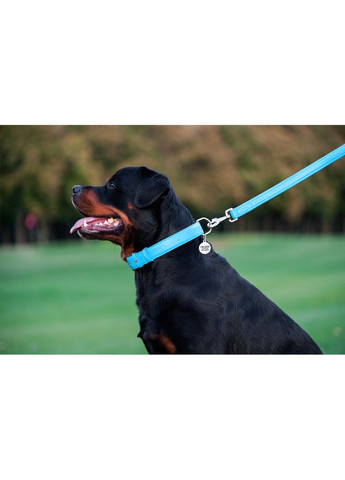 Поводок для собак кожаный WAUDOG Glamour, Ш 25 мм, Дл 122 см No Brand (363199425)