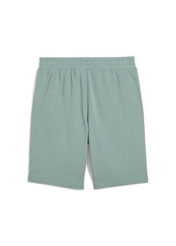 Шорты Essentials No. 1 Logo 10" Shorts Men Puma (317250163)