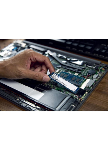 SSD накопитель 500 GB (SNV3S/500G) Kingston NV3 (365067233)