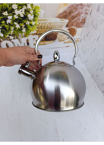 Чайник со свистком WK-1381A из нержавеющей стали 3 л Стальной A-Plus (361308771)