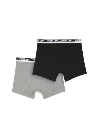 Чоловіча спідня білизна Boxer Briefs 2 Pack Men Puma (282953957)