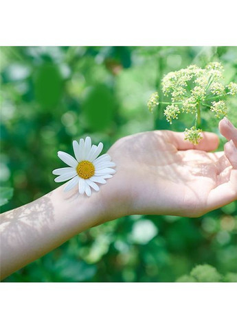 Прокладки Naturella Classic Normal 10 шт (268146725)