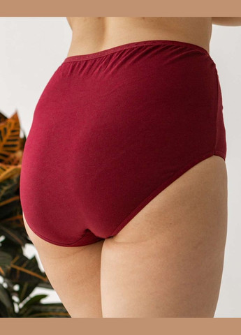 Трусы-слипы женские 5 шт. в наборе, батальные размеры, широкий бок Nicoletta (342119849)